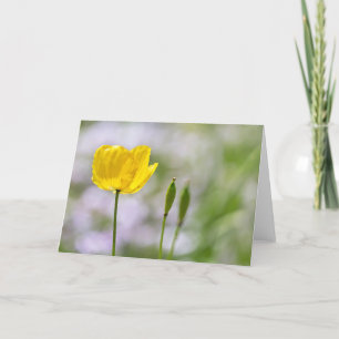Tomt anteckningskort - Gult Welsh Poppy