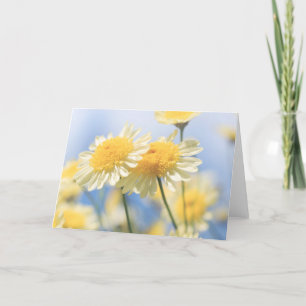 Tomt anteckningskort - Solbelyst Gult Marguerite-D