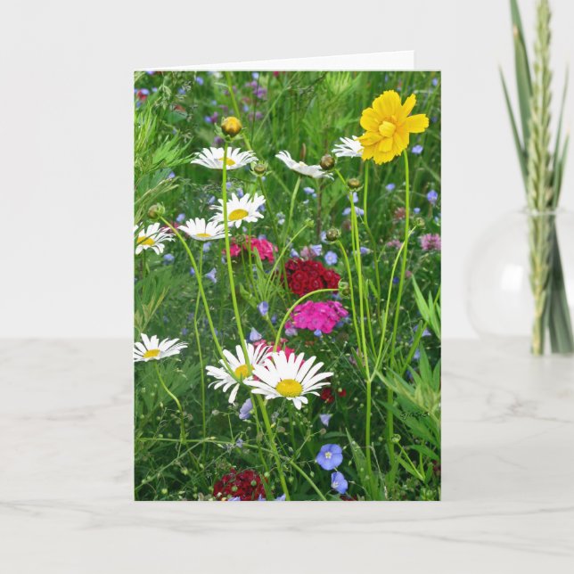 Tomt anteckningskort: Vår Wildblommor Kort (Framsida)