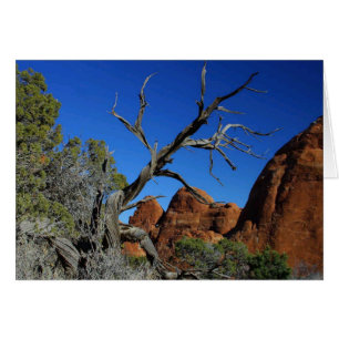 Tomt Arches National Park-kort Hälsningskort