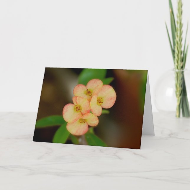 Tomt Blommigt Kort (Framsida)