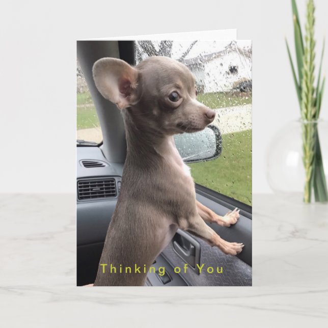 Tomt Chihuahuahälsningkort - som är tänkande av Kort (Framsida)