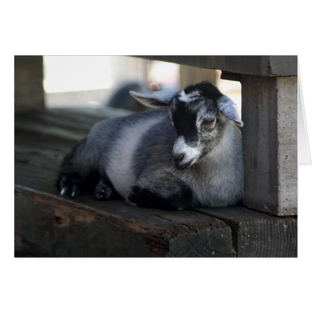 Tomt getkort hälsningskort (Framsidan Horizontal)