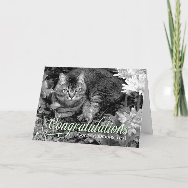 Tomt grattiskort för trädgårds- katt kort (Framsida)