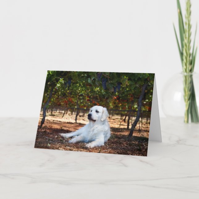 Tomt gratulationskort för gyllene återgivare kort (Framsida)