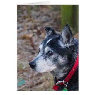 Tomt gratulationskort hälsningskort