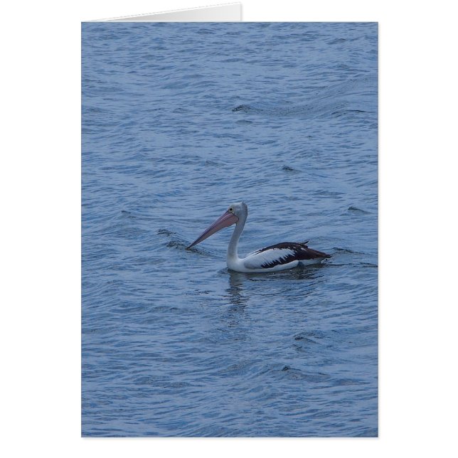 Tomt gratulationskort hälsningskort (Framsidan)