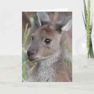 Tomt gratulationskort - Kangaroo Joey Kort