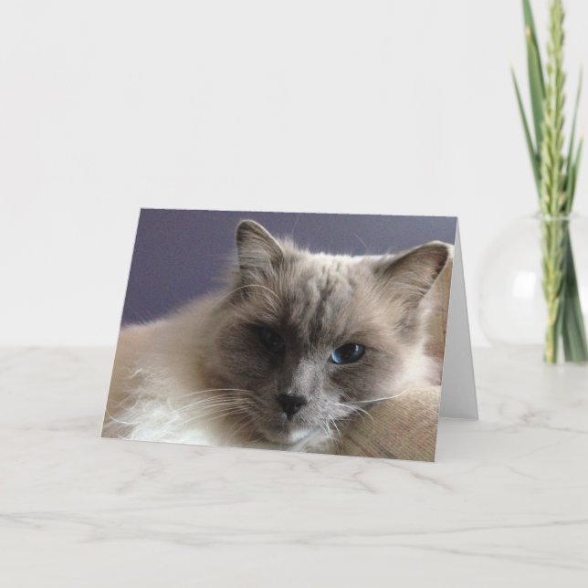 Tomt gratulationskort kort (Framsida)