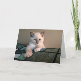 Tomt gratulationskort kort