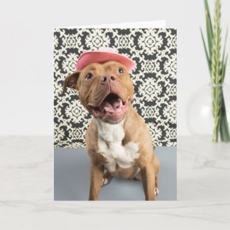 Tomt gratulationskort kort