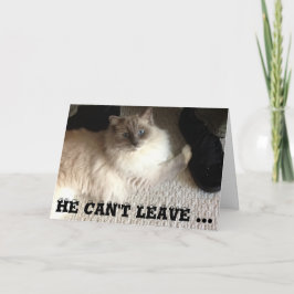 Tomt gratulationskort kort