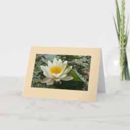 Tomt gratulationskort kort