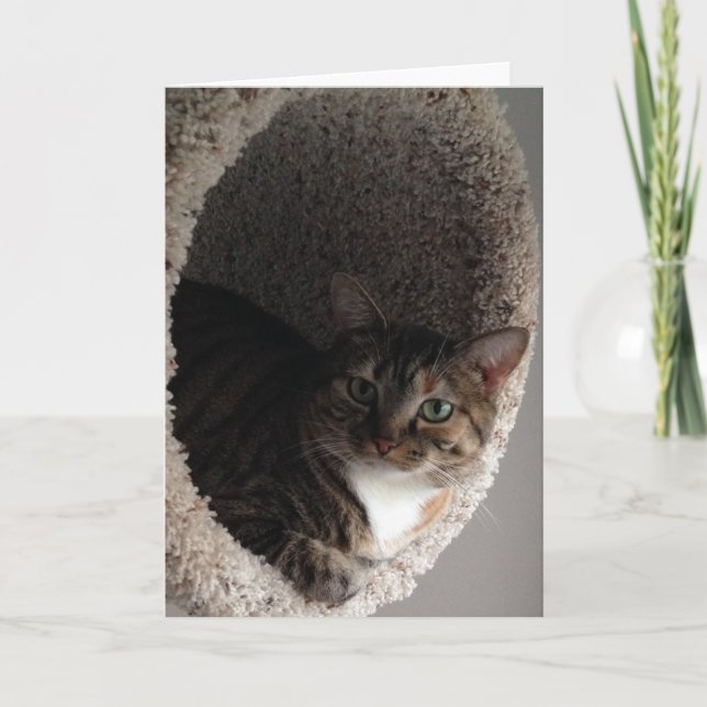 Tomt gratulationskort kort (Framsida)