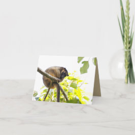 Tomt gratulationskort med Träd Kangaroo Kort