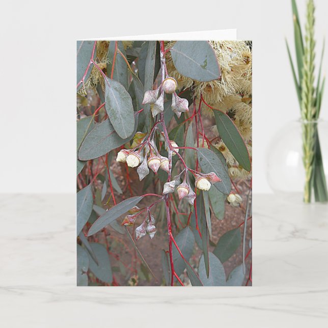 Tomt gratulationskort - Nöt Kort (Framsida)