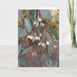 Tomt gratulationskort - Nöt Kort