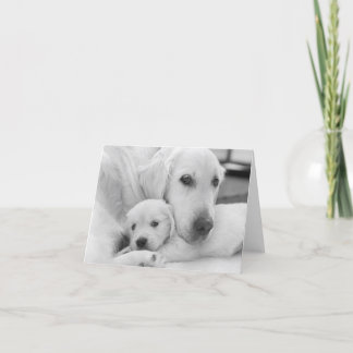 Tomt gratulationskort tack kort