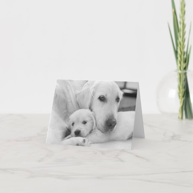 Tomt gratulationskort tack kort (Framsida)