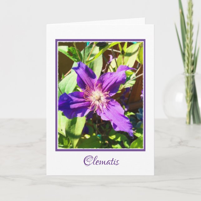 Tomt hälsningkort för Clematis Kort (Framsida)