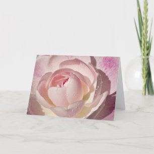 Tomt hälsningkort för rosa ros kort