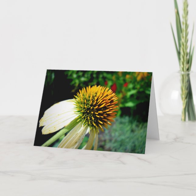 Tomt hälsningkort kort (Framsida)