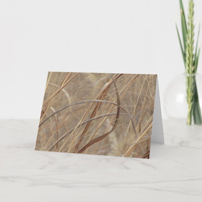 Tomt hälsningkort kort (Framsida)