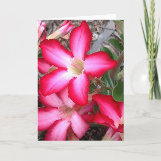 Tomt hälsningkort kort