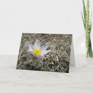 Tomt hälsningkort kort