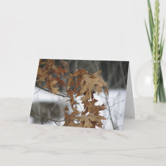 Tomt hälsningkort kort