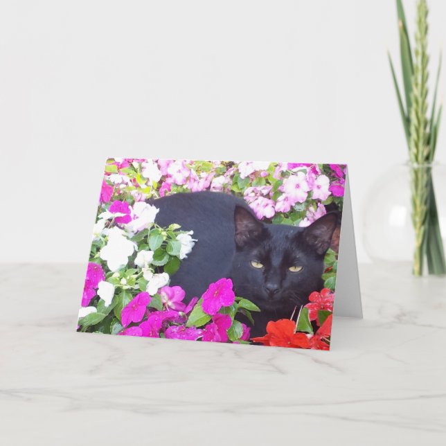 Tomt hälsningkort med katten i blommor kort (Framsida)