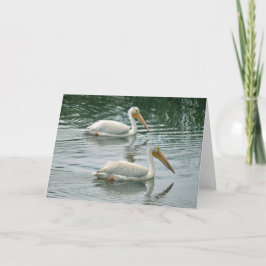 Tomt hälsningkort med pelikanfotoet kort