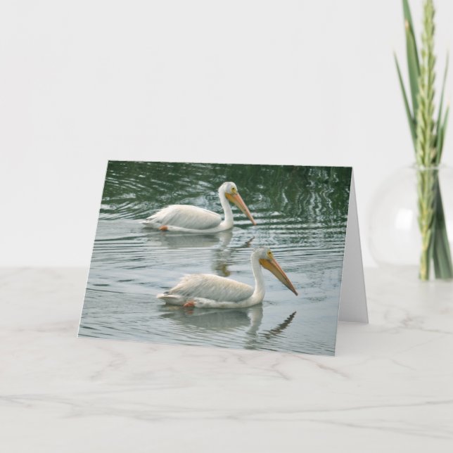 Tomt hälsningkort med pelikanfotoet kort (Framsida)