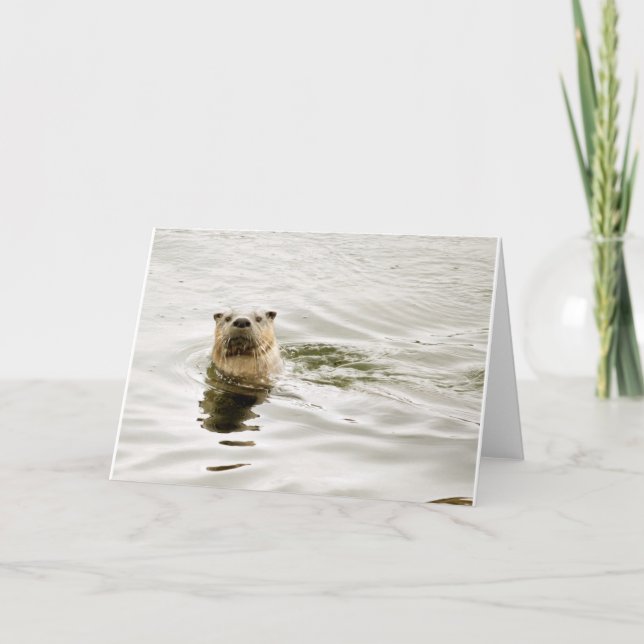 Tomt hälsningkort med utterfotoet kort (Framsida)