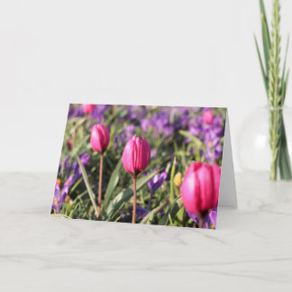 Tomt hälsningkort: Vår blommor Kort
