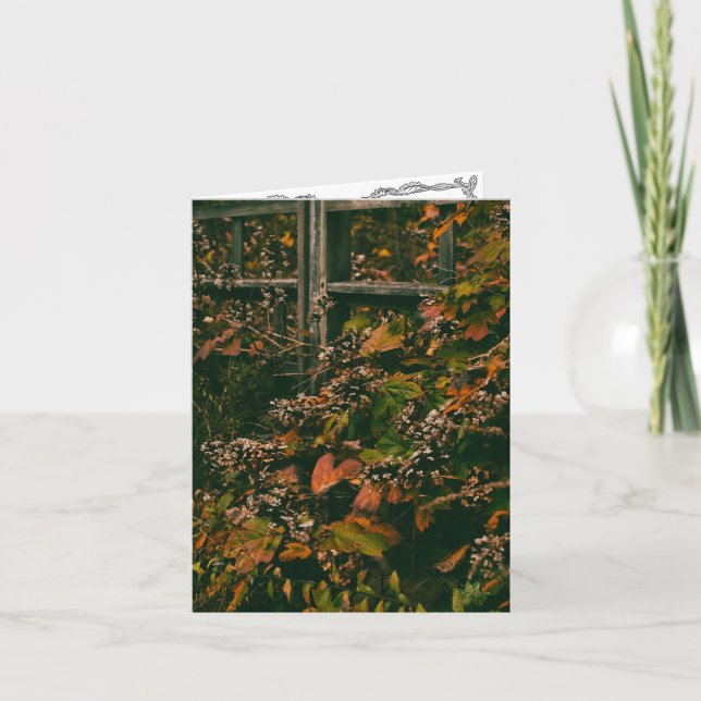 Tomt hälsningskort insida Höst färger Tack Kort (Framsida)