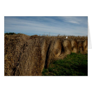 Tomt_Hay-saldon OBS Kort