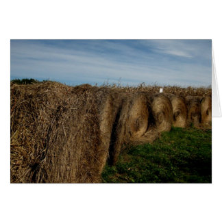 Tomt_Hay-saldon OBS Kort