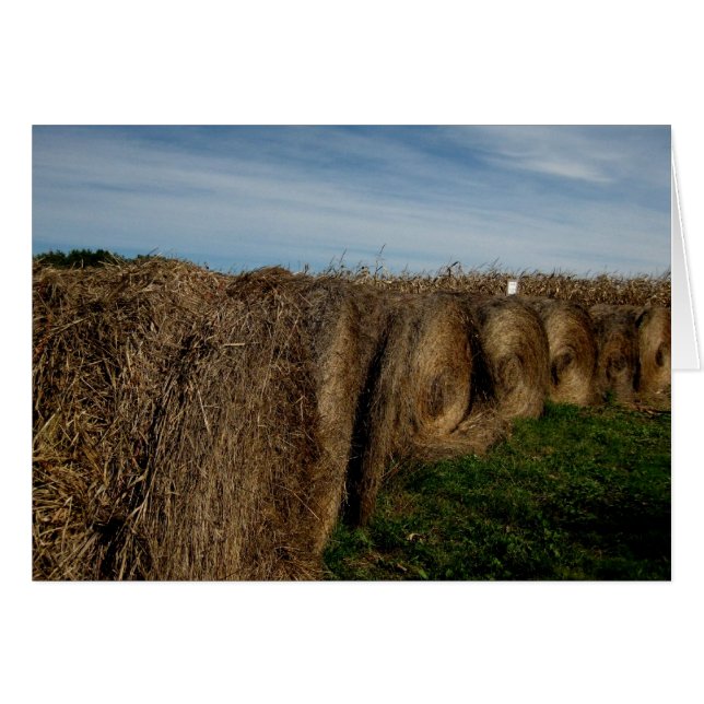 Tomt_Hay-saldon OBS Kort (Framsidan Horizontal)