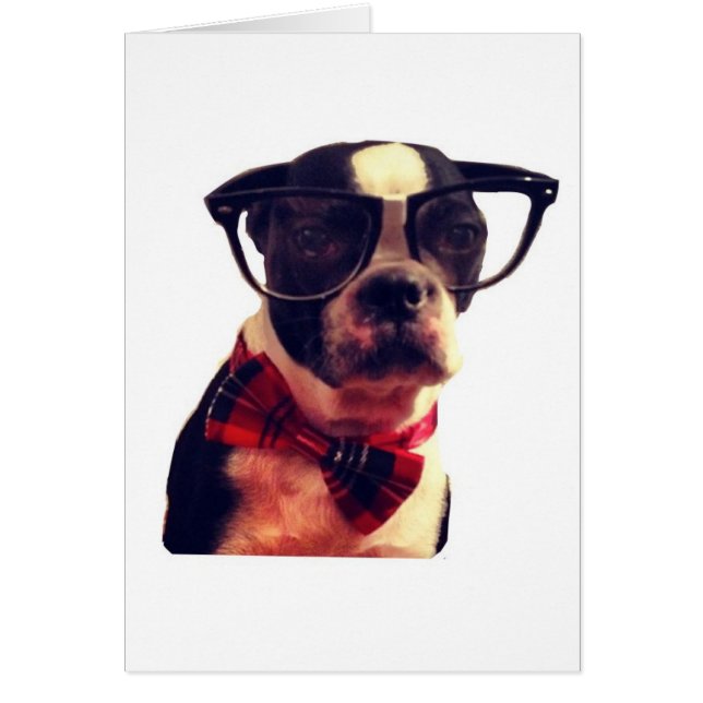 Tomt Hipster Boston Terrier-kort Hälsningskort (Framsidan)