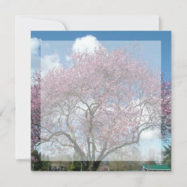 tomt inbjudningskort, körsbärsblommande träd inbjudningar