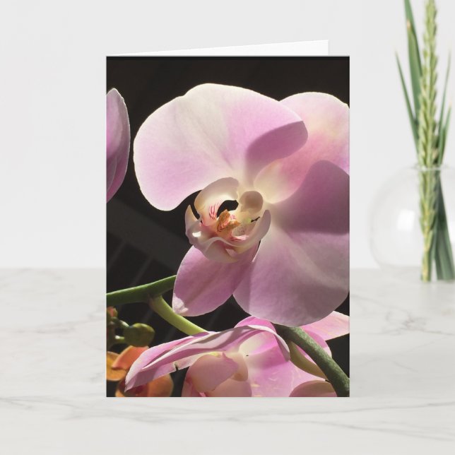 Tomt inre kort för rosa Orchid (Framsida)