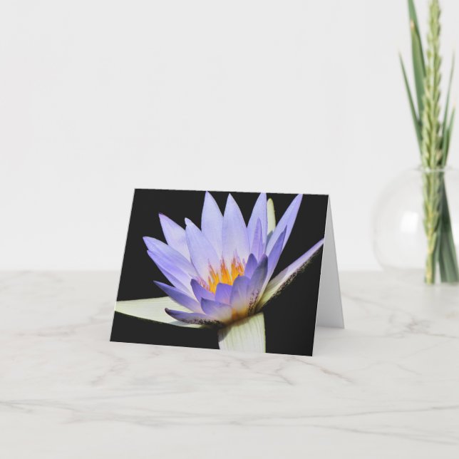 Tomt inuti kort nr 7 00700 (Framsida)