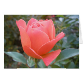 Tomt invändigt hälsningskort