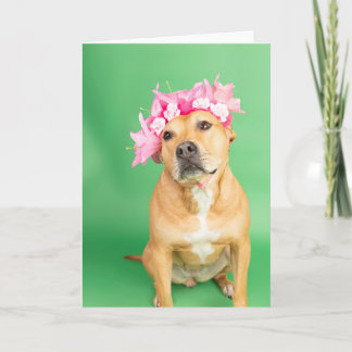 Tomt invändigt kort