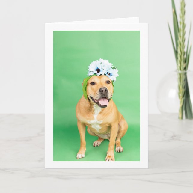 Tomt invändigt kort (Framsida)