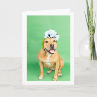 Tomt invändigt kort