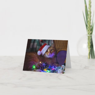 Tomt julklapp - tomt hälsningskort tack kort