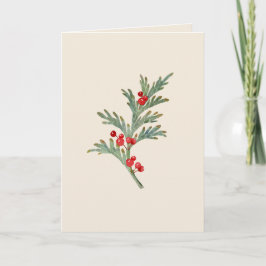 Tomt julkort med vattenfärg Juniper Inbjudan