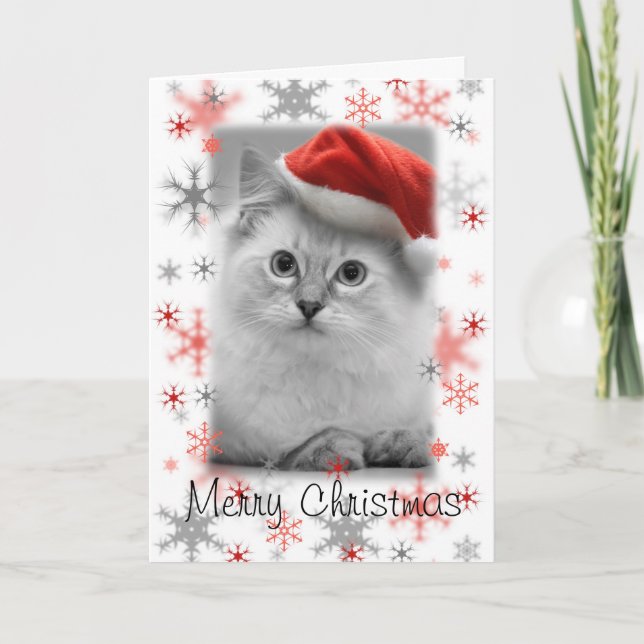 Tomt kattunge christmas-kort helgkort (Framsida)